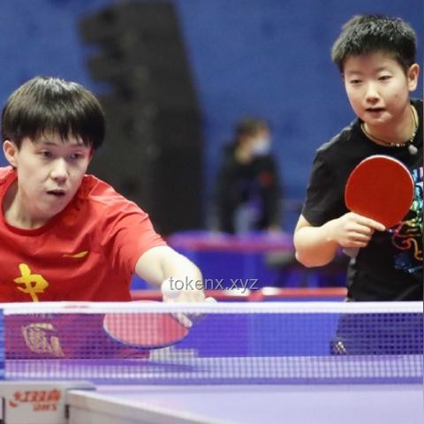 王楚钦爆冲现象：乒乓球运动的未来趋势与技术革新